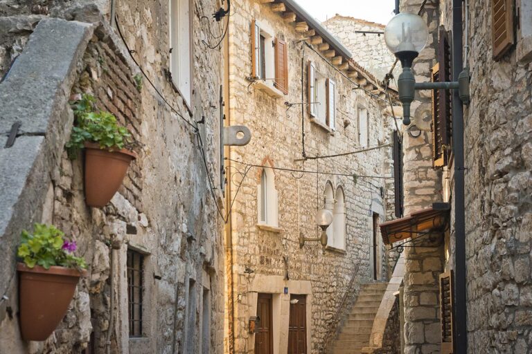 Journey through Istria, the heart of art, nature, and a history tour