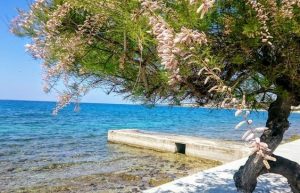 Diklo beach (The Best Beaches in Zadar)